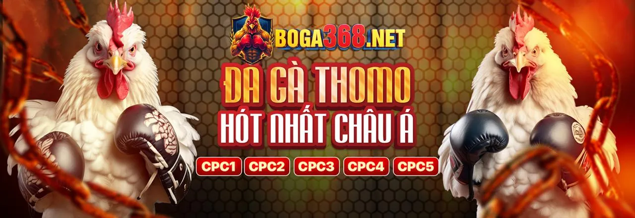 Sân đá gà trực tuyến bj66 kịch tính và hấp dẫn