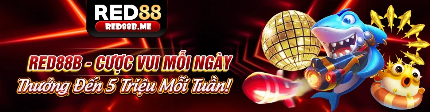 Các lựa chọn đặt cược Baccarat bj66