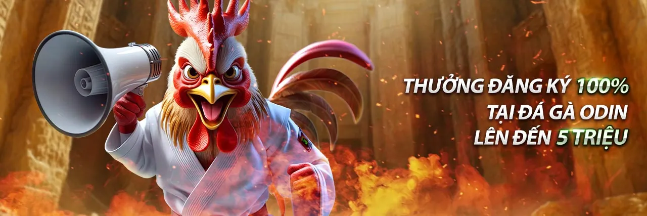 Tổng quan nền tảng BJ66